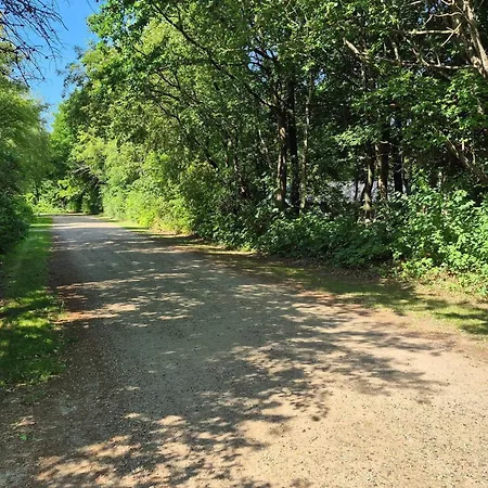 4 Person In * Ansager