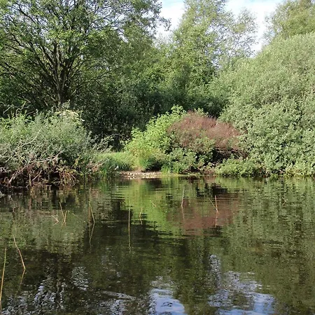 4 Person In Nyaraló Ansager