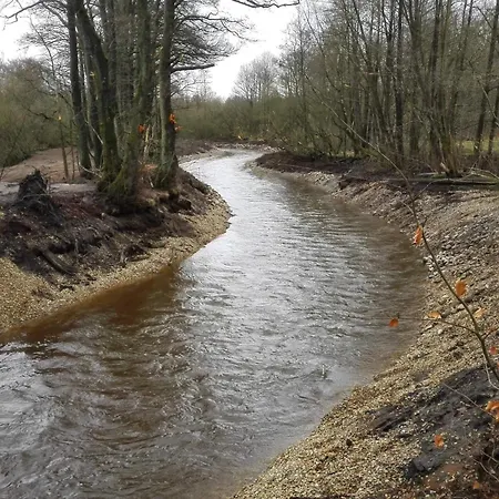 4 Person In Nyaraló *